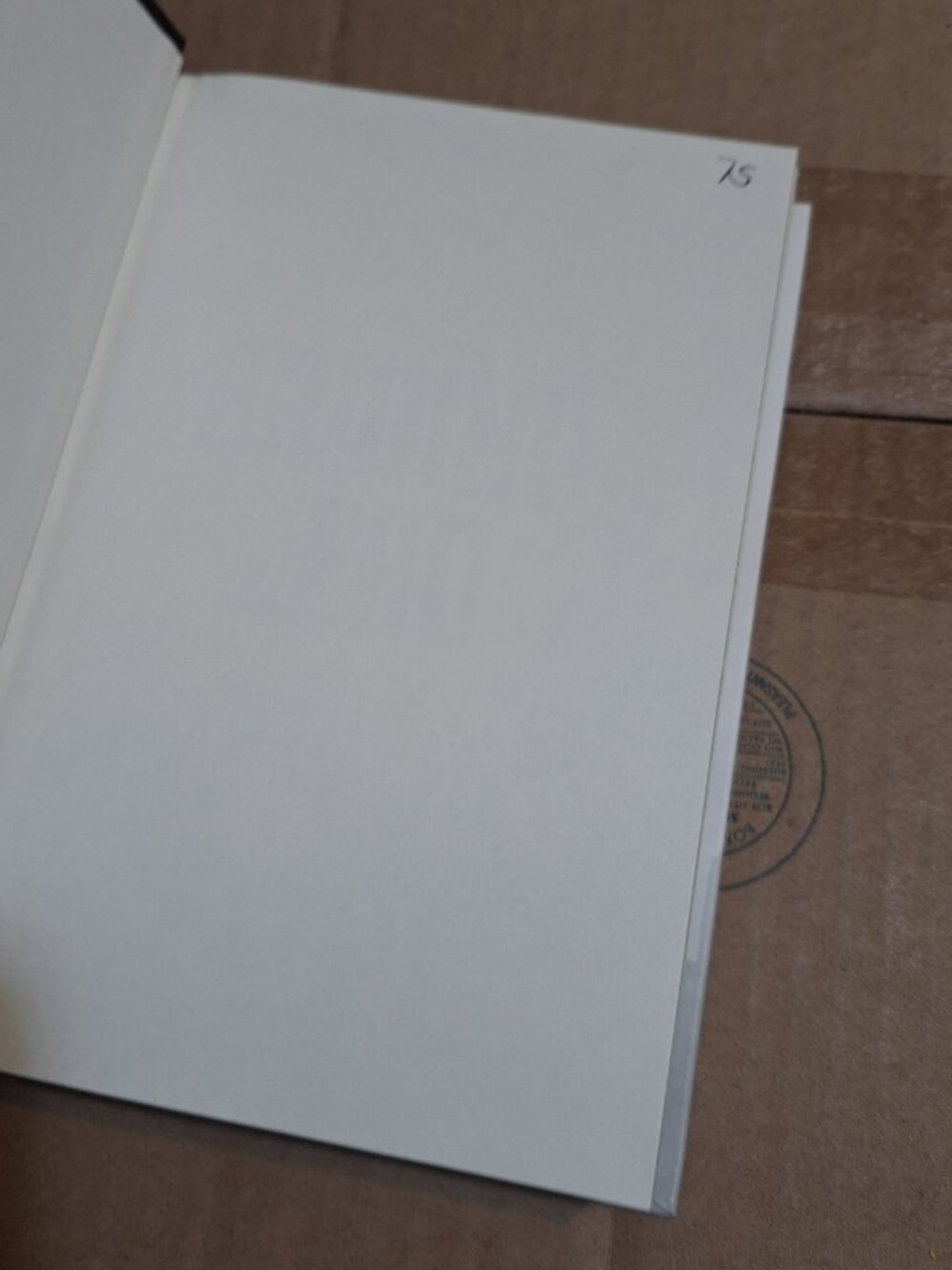 ground zero - Picture 3 of 5